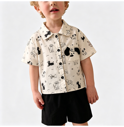 Boys' Casual Two-Piece Set Boys' Casual Two-Piece Set
