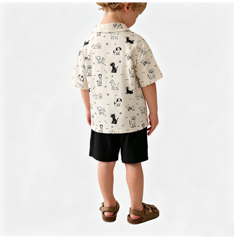 Boys' Casual Two-Piece Set Boys' Casual Two-Piece Set